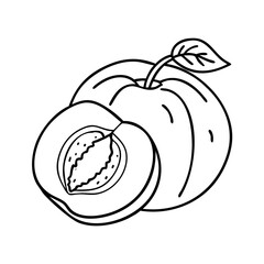 apricot fruit icon, apricot fruit vector illustration-simple illustration of apricot fruit, perfect for apricot fruit logos and icons