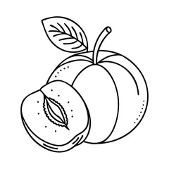apricot fruit icon, apricot fruit vector illustration-simple illustration of apricot fruit, perfect for apricot fruit logos and icons