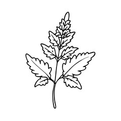 astilbe flower icon, astilbe flower vector illustration-simple illustration of astilbe flower, perfect for astilbe flower logos and icons