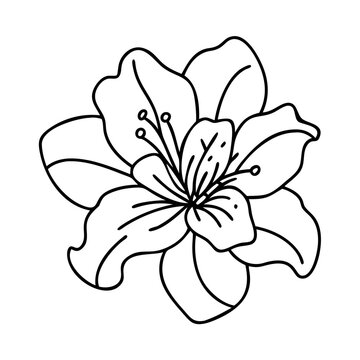 recommend clip art: azalea flower icon, azalea flower vector illustration-simple illustration of azalea flower, perfect for azalea flower logos and icons