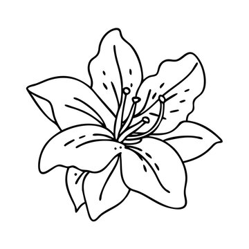 recommend clip art: azalea flower icon, azalea flower vector illustration-simple illustration of azalea flower, perfect for azalea flower logos and icons