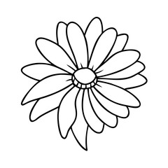 black eyesusand flower icon, black eyesusand flower vector illustration-simple illustration of black eyesusand flower, perfect for black eyesusand flower logos and icons