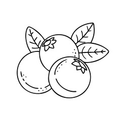 blueberry icon, blueberry vector illustration-simple illustration of blueberry, perfect for blueberry logos and icons