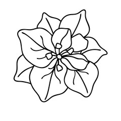 Naklejka premium bougainvillea flower icon, bougainvillea flower vector illustration-simple illustration of bougainvillea flower, perfect for bougainvillea flower logos and icons