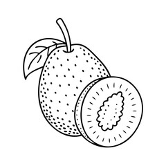 breadfruit icon, breadfruit vector illustration-simple illustration of breadfruit, perfect for breadfruit logos and icons