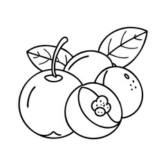 camu camu fruit icon, camu camu fruit vector illustration-simple illustration of camu camu fruit, perfect for camu camu fruit logos and icons