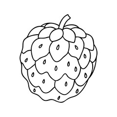 cherimoya fruit icon, cherimoya fruit vector illustration-simple illustration of cherimoya fruit, perfect for cherimoya fruit logos and icons