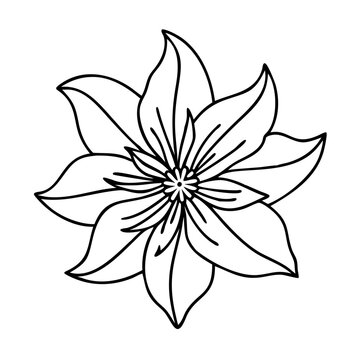 recommend clip art: clematis flower icon, clematis flower vector illustration-simple illustration of clematis flower, perfect for clematis flower logos and icons