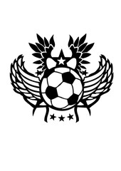 Obraz premium football aile ballon etoile logo club