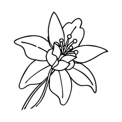 Obraz premium columbine flower icon, columbine flower vector illustration-simple illustration of columbine flower, perfect for columbine flower logos and icons