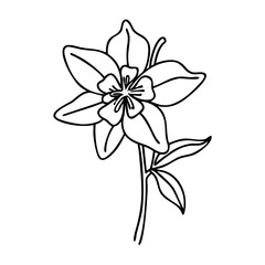 columbine flower icon, columbine flower vector illustration-simple illustration of columbine flower, perfect for columbine flower logos and icons