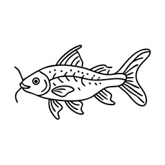 corydoras catfish icon, corydoras catfish vector illustration-simple illustration of corydoras catfish, perfect for corydoras catfish logos and icons