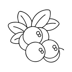 cranberry icon, cranberry vector illustration-simple illustration of cranberry, perfect for cranberry logos and icons