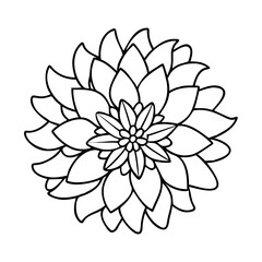 dahlia flower icon, dahlia flower vector illustration-simple illustration of dahlia flower, perfect for dahlia flower logos and icons