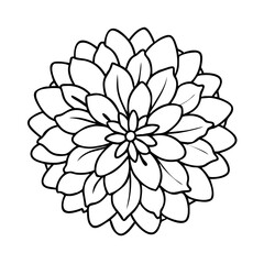 dahlia flower icon, dahlia flower vector illustration-simple illustration of dahlia flower, perfect for dahlia flower logos and icons