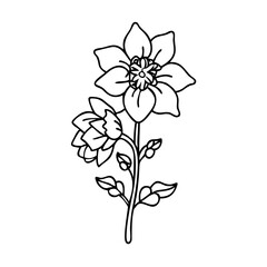 delphinium flower icon, delphinium flower vector illustration-simple illustration of delphinium flower, perfect for delphinium flower logos and icons