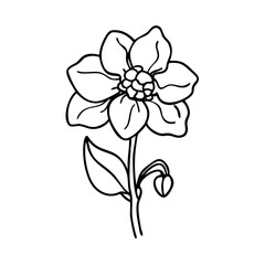 delphinium flower icon, delphinium flower vector illustration-simple illustration of delphinium flower, perfect for delphinium flower logos and icons