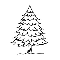 douglas fir tree icon, douglas fir tree vector illustration-simple illustration of douglas fir tree, perfect for douglas fir tree logos and icons