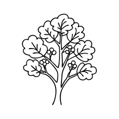 eucalyptus tree icon, eucalyptus tree vector illustration-simple illustration of eucalyptus tree, perfect for eucalyptus tree logos and icons