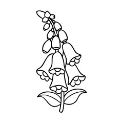 foxglove flower icon, foxglove flower vector illustration-simple illustration of foxglove flower, perfect for foxglove flower logos and icons