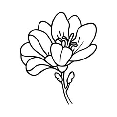 freesia flower icon, freesia flower vector illustration-simple illustration of freesia flower, perfect for freesia flower logos and icons