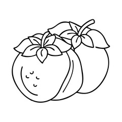 fuyu persimmon icon, fuyu persimmon vector illustration-simple illustration of fuyu persimmon, perfect for fuyu persimmon logos and icons