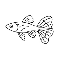 guppy fish icon, guppy fish vector illustration-simple illustration of guppy fish, perfect for guppy fish logos and icons