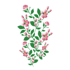 Vector floral frame with cherry and sakura flowers, elegant and delicate design, isolated on white background.