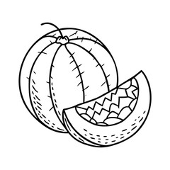 honeydew melon icon, honeydew melon vector illustration-simple illustration of honeydew melon, perfect for honeydew melon logos and icons