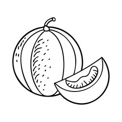 honeydew melon icon, honeydew melon vector illustration-simple illustration of honeydew melon, perfect for honeydew melon logos and icons