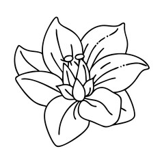 hosta flower icon, hosta flower vector illustration-simple illustration of hosta flower, perfect for hosta flower logos and icons