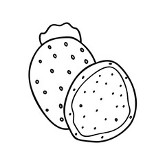 indian fig prickly pear icon, indian fig prickly pear vector illustration-simple illustration of indian fig prickly pear, perfect for indian fig prickly pear logos and icons