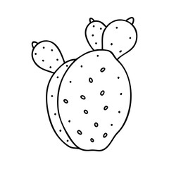 indian fig prickly pear icon, indian fig prickly pear vector illustration-simple illustration of indian fig prickly pear, perfect for indian fig prickly pear logos and icons