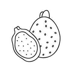 indian fig prickly pear icon, indian fig prickly pear vector illustration-simple illustration of indian fig prickly pear, perfect for indian fig prickly pear logos and icons