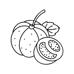 Obraz premium jabuticaba fruit icon, jabuticaba fruit vector illustration-simple illustration of jabuticaba fruit, perfect for jabuticaba fruit logos and icons