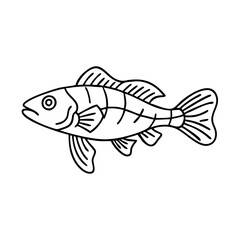 kribensis fish icon, kribensis fish vector illustration-simple illustration of kribensis fish, perfect for kribensis fish logos and icons