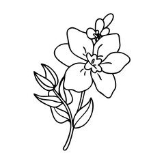 larkspur flower icon, larkspur flower vector illustration-simple illustration of larkspur flower, perfect for larkspur flower logos and icons