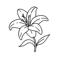 lily flower icon, lily flower vector illustration-simple illustration of lily flower, perfect for lily flower logos and icons