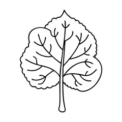 linden tree icon, linden tree vector illustration-simple illustration of linden tree, perfect for linden tree logos and icons