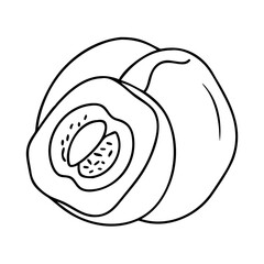 lucuma icon, lucuma vector illustration-simple illustration of lucuma, perfect for lucuma logos and icons