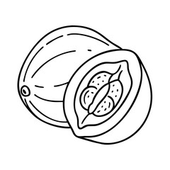 lucuma icon, lucuma vector illustration-simple illustration of lucuma, perfect for lucuma logos and icons