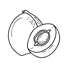 lucuma icon, lucuma vector illustration-simple illustration of lucuma, perfect for lucuma logos and icons