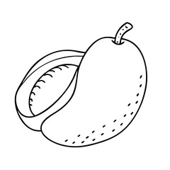 mango icon, mango vector illustration-simple illustration of mango, perfect for mango logos and icons