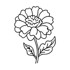 marigold flower icon, marigold flower vector illustration-simple illustration of marigold flower, perfect for marigold flower logos and icons