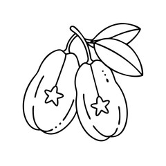 miracle fruit icon, miracle fruit vector illustration-simple illustration of miracle fruit, perfect for miracle fruit logos and icons