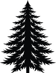 Fototapeta premium . A silhouette of a coniferous tree, featuring a tall, slender trunk and dense, pointed branches. 