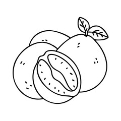 Obraz premium nance fruit icon, nance fruit vector illustration-simple illustration of nance fruit, perfect for nance fruit logos and icons