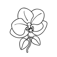 orchid flower icon, orchid flower vector illustration-simple illustration of orchid flower, perfect for orchid flower logos and icons