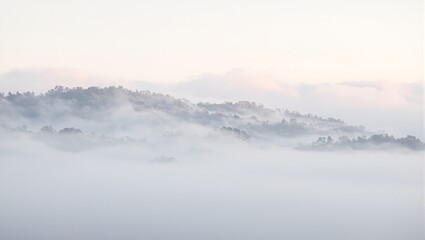 Obraz premium Tranquil misty valley at sunrise pastel hues and soft textures melding beautifully in a serene landscape scene