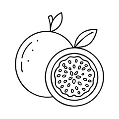 passion fruit icon, passion fruit vector illustration-simple illustration of passion fruit, perfect for passion fruit logos and icons